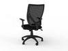 Flex Mesh Chair